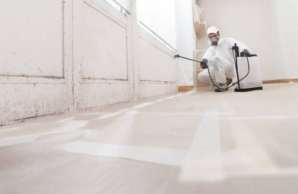 24/7 Emergency Black Mold Remediation experts in Oakland, MD